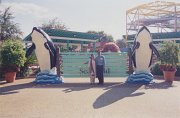 034-Another Kodak Photo Spot